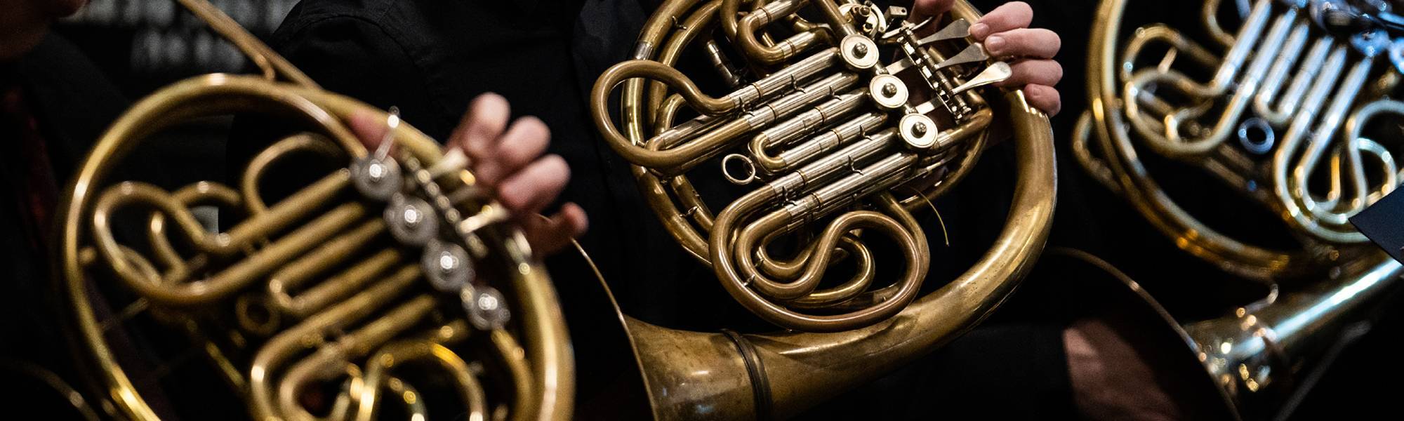 horns